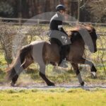 Alfsengi_maart_0M8A9239