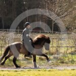 Alfsengi_maart_0M8A9259