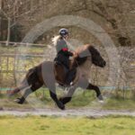 Alfsengi_maart_0M8A9287