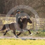 Alfsengi_maart_0M8A9289