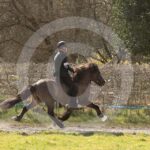 Alfsengi_maart_0M8A9293