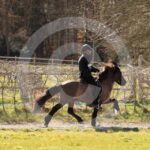 Alfsengi_maart_0M8A9301